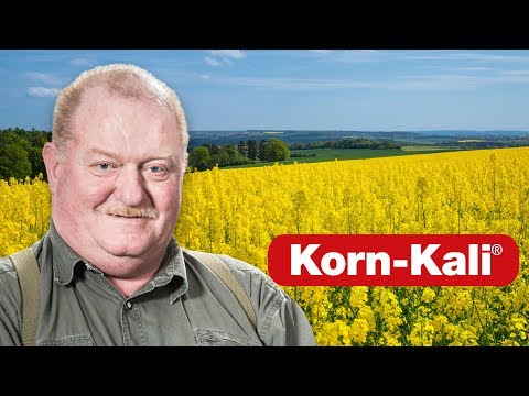 Pflugloser Rapsanbau mit Biogasanlage