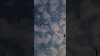 Download lagu Parindo Ki Tarah Ye Dil Hai Safar Me || Baarish || Atif Aslam || #lyrics #song #trending #shorts mp3