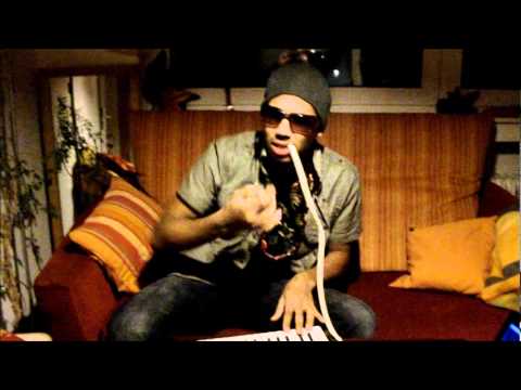 Duck Sauce - Barbra Streisand (Parody Music Video)