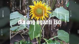 Download lagu Story' wa kadung jeru mp3