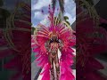 Carnival 2026😍🇬🇩 #makeupshorts
