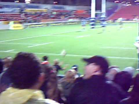 Bulls vs Chiefs. Hamilton.