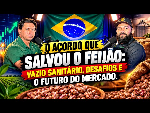 O Acordo que Salvou o Feijão: Vazio Sanitário, Desafios e o Futuro do Mercado.