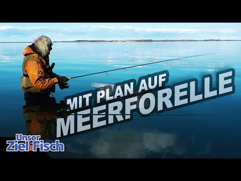 Let's catch a MEFO quickly - JÖRG OVENS on the coast - Our goal is fish - The fishing school