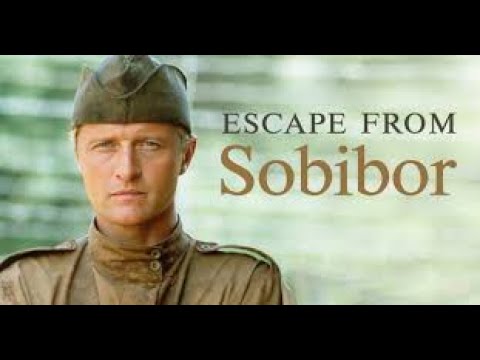 Escape from Sobibor (1987 TV film, History) - Alan Arkin, Joanna Pacuła, Rutger Hauer,