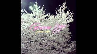 PK Heman PK 헤만, 케이시 Kassy – Blossom, Night 벚꽃, 밤