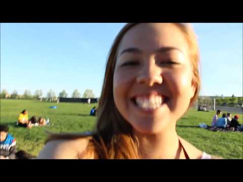 A NIGHT IN THE JUNGLE 3/31/17