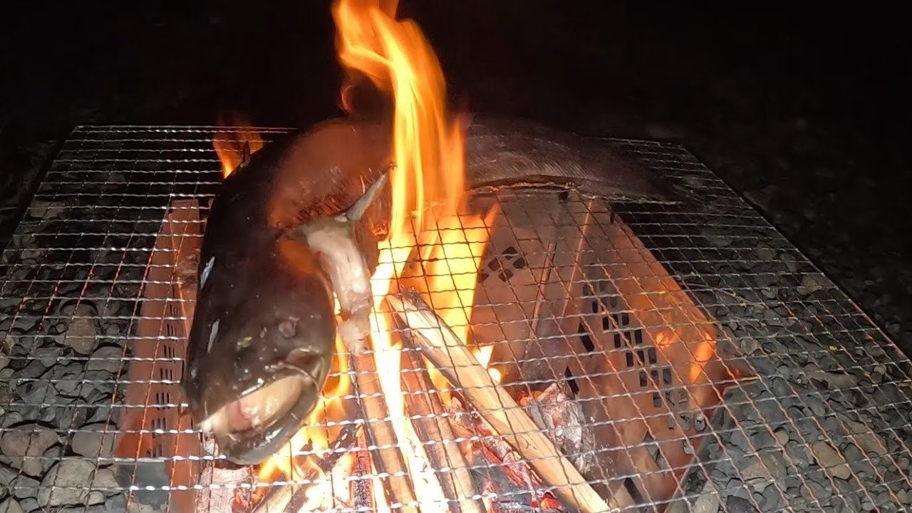 色々なものが高騰しているので、自然の食材を探すことにしました。