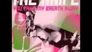 The Knife - You Take My Breath Away (Mylo remix)