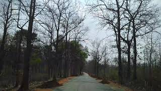 preview picture of video 'Tikarpada, Satkosia, Angul, Odisha'