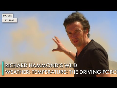 Richard Hammond's Wild Weather: Temperature: The Driving Force