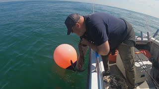 Sea Fishing for a Big One: Small Boat Fishing in the UK