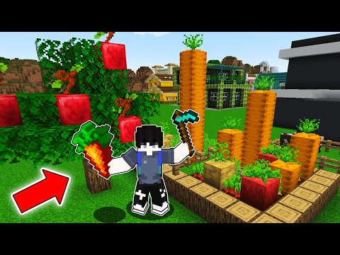 I Harvest GIANT CROPS and APPLES in Minecraft | OMO City
