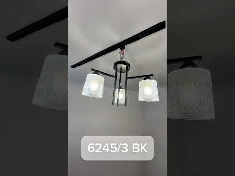 Миниатюра изображения товара Люстра Aitin-Pro НПБ 02-3x40-101 / 6245/3 (черный)
