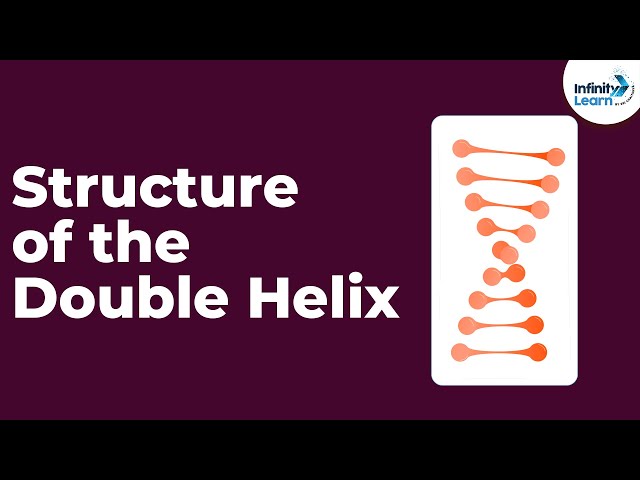 Wymowa wideo od helix na Angielski