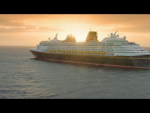 2017年迪士尼有什麼新變化 (What's New with Disney in 2017)