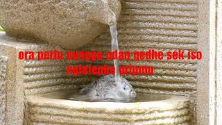 Download lagu Story wa sabar mp3 Download lagu Story wa sabar mp3