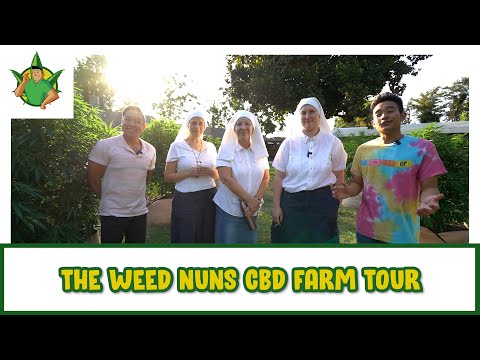 Filipino Cannabis Guy - The Weed Nuns CBD Farm Tour
