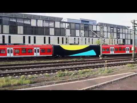 Taps & Moses - QUINTA ESSENTIA™, 2013