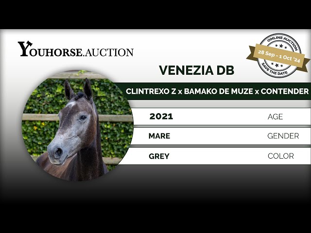 Venezia DB