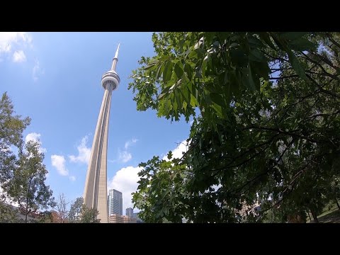 The tallest tower in North America dwarfs the Seattle Space Needle - KING 5 Evening
