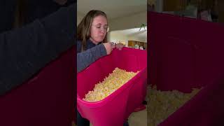 How to celebrate National Popcorn Day. #nationalpopcornday #cinemark @cinemark