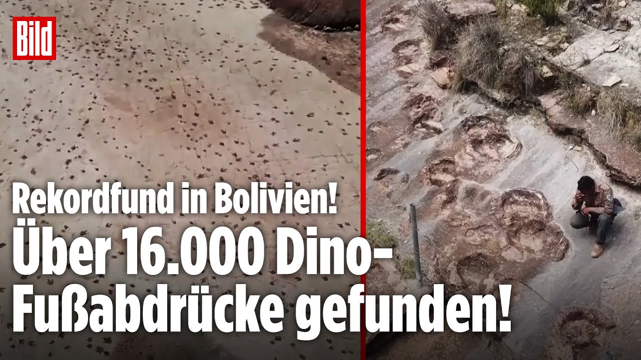 SPEKTAKULÄRER FUND: Tausende Dino-Fußabdrücke in Bolivien entdeckt!