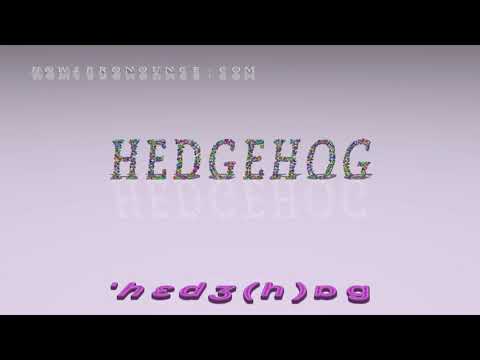hedgehog - pronunciation in British English (three voices / accents)
