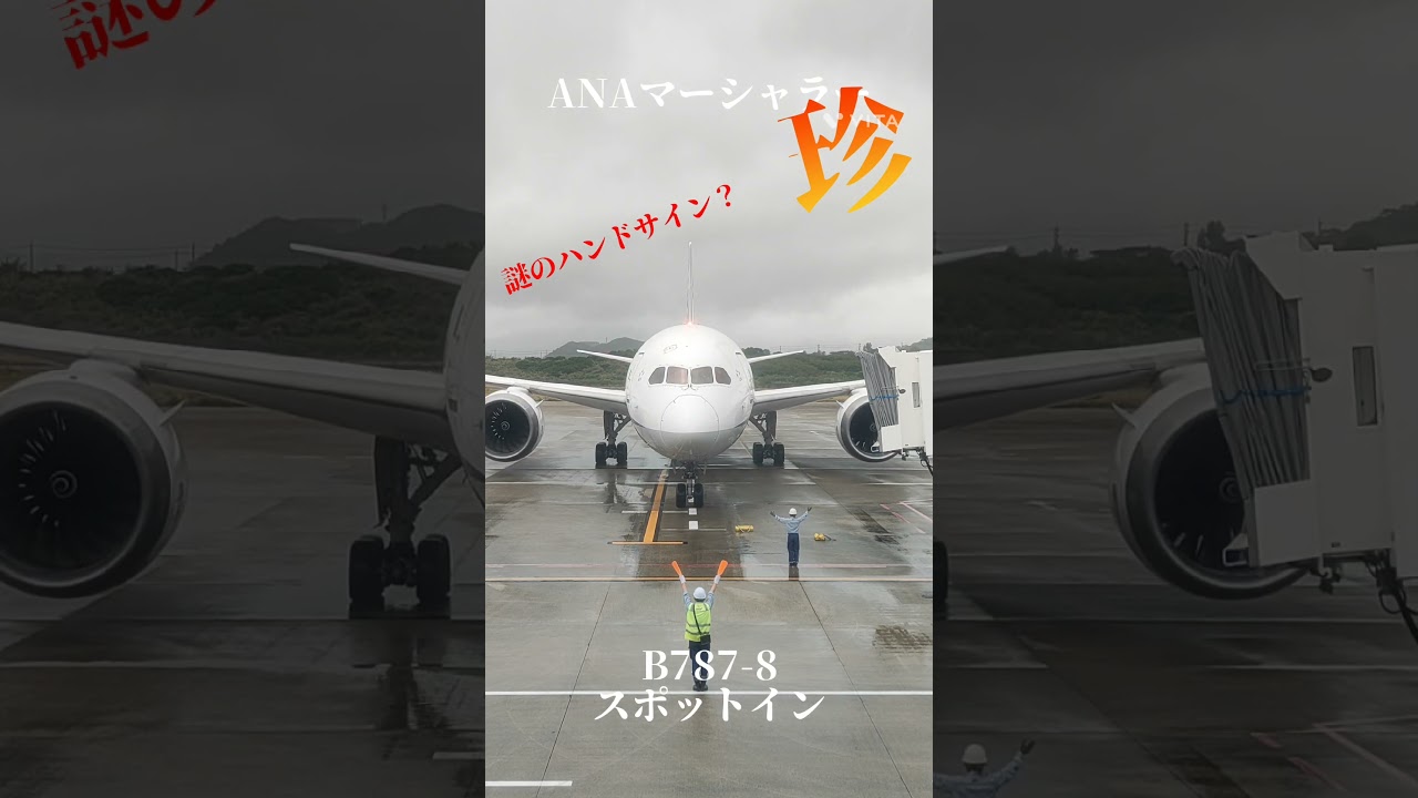 このマーシャリング謎なんですが、、、、知ってる方コメントお願いします🙏