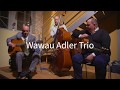 2017 Wawau Adler Trio, Django Reinhardt - Vamp (03)