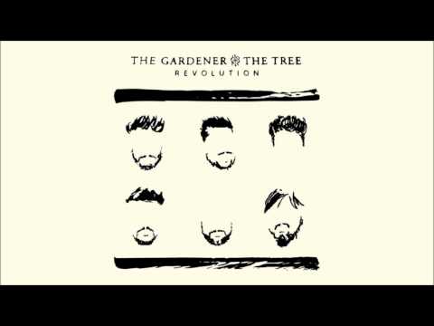 Waterfall - The Gardener & The Tree