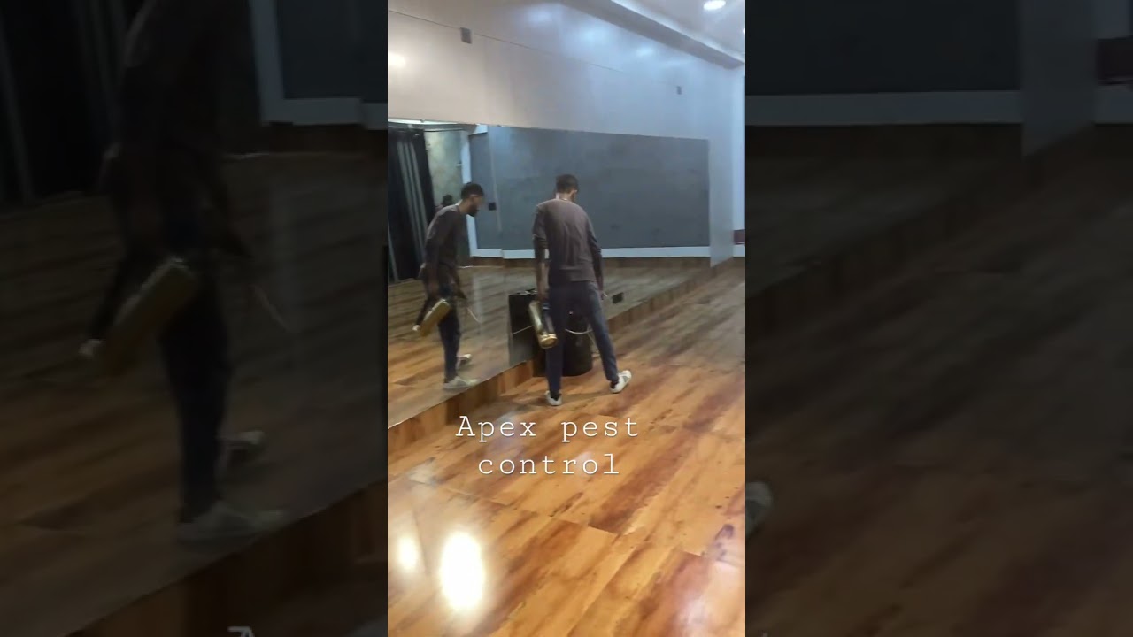 General pest control | apex pest control book now #apexpestcontrol