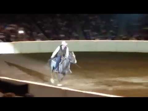 Guy McLean Fantasia Accident Ohio Equine Affaire