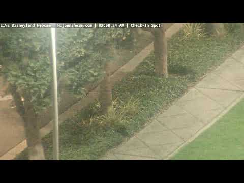 Live webcam of Disneyland Cam