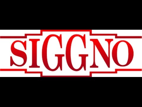 siggno-ya no me importa lyrics