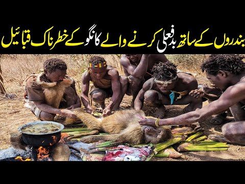 Most Dangerous Tribes Of Cango Forest😱