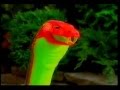Tyco Python Commercial