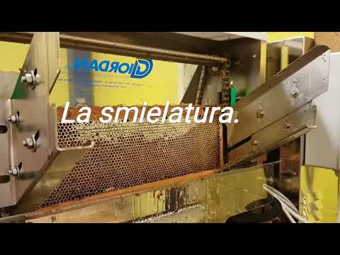 Video plastica del legamento crociato anteriore Riabilitazione a casa, dopo i costi di sostituzione dellanca