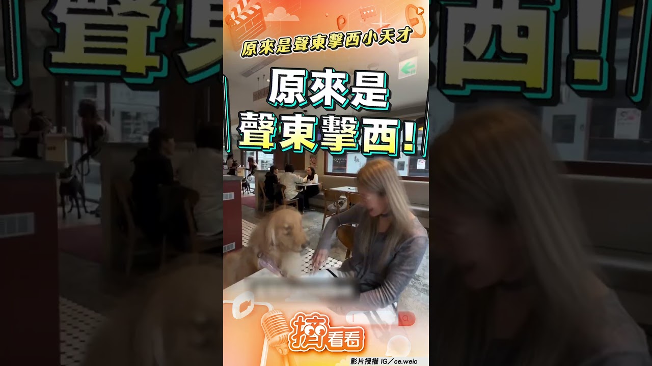 影音/貪吃阿金神級假吵架「真偷吃」! 一轉頭絲滑入口網笑:聲東擊西