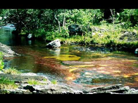 Llanero de ciudad.avi