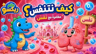 كيف تعمل الرئتان؟ 🫁 رحلة ريكسو مع نَفَس داخل جسم الإنسان