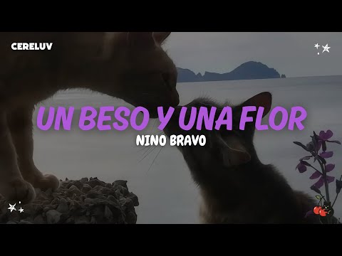 Nino Bravo - Un Beso y Una Flor (Letra)