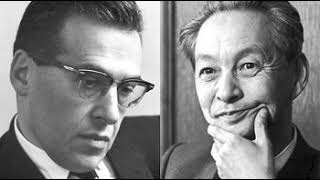 Episode 2.22: Renormalization