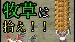 【初心者】牧草は育てなくていいです。【ルーンファクトリー４スペシャル】