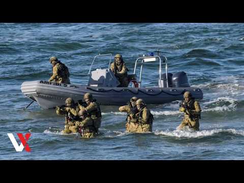 NATO Troops Practise Terrain Conquest At STEADFAST DART 26 Exercises In Germany | VERTEX