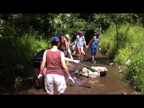 igienizare_cib_part.3.MOV