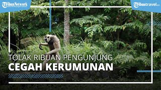 Jumlah Wisatawan Membludak, Semarang Zoo Tolak Ribuan Kunjungan untuk Antisipasi Kerumunan