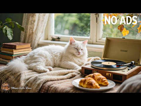 Sleep Music for Cats 🐾 Calming Cats Music for Healing Anxiety and Restful Nights