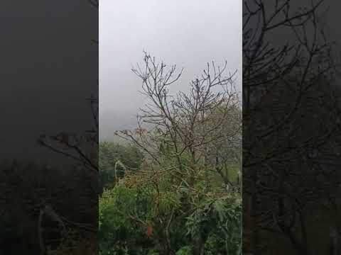 muita chuva 🌧️ no sítio cafula de Massaranduba PB