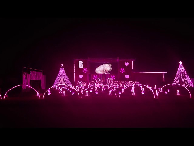 I Want a Hippopotamus for Christmas